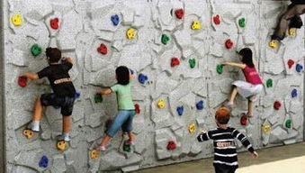 寧波市幼兒園 小學生秋游產品合集 已更新