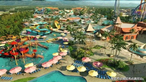 杭州灣融創文旅城 幼兒園 小學,中學 為您孩子插上夢想的翅膀